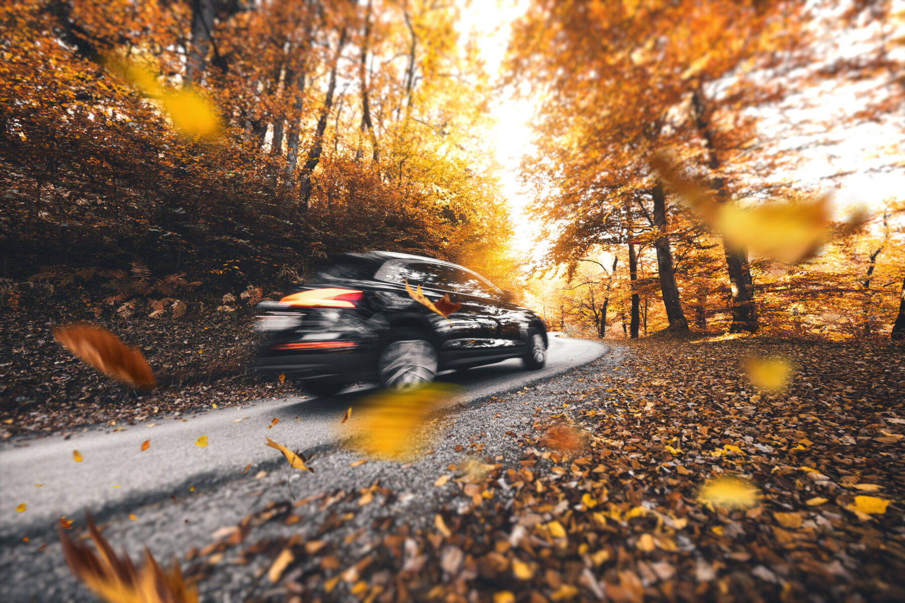 Car Accident Caused by Road Hazards: Who’s Liable in Texas?